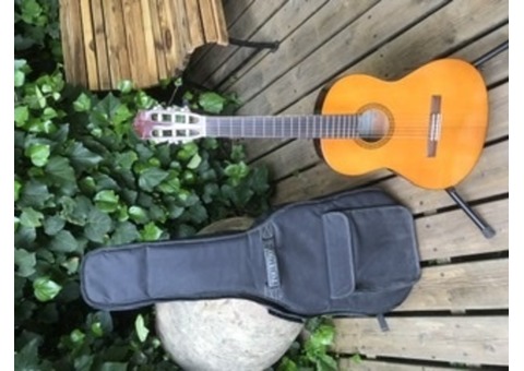 Guitare sèche