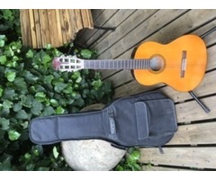 Guitare sèche