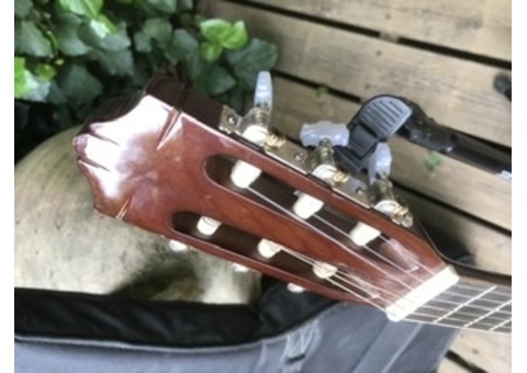 Guitare sèche