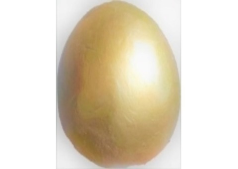 OEUF D'OR