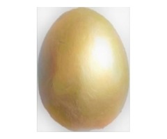 OEUF D'OR