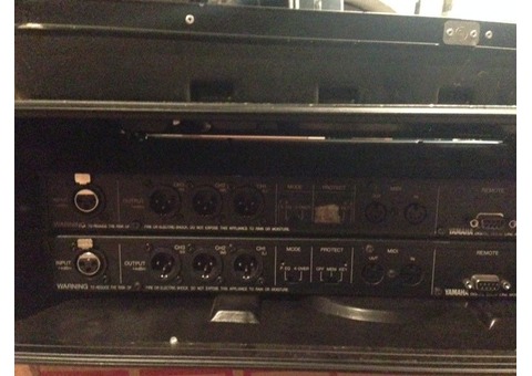 Yamaha D1030, Digital Delay Line, Equalizer, 3 Ch Out, Vintage Rack