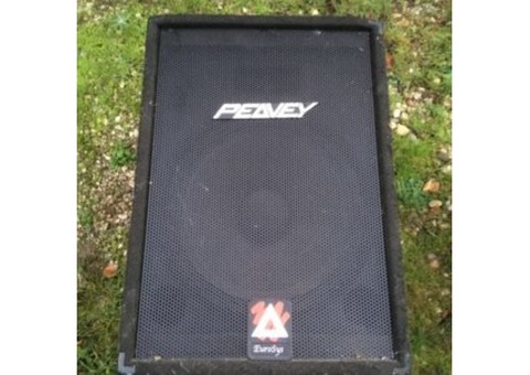 Vend enceintes Peavey Eurodys