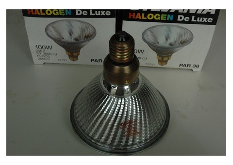 Lot de 2 Lampes halogène 100W 240V PAR38