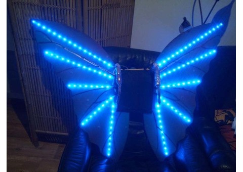 Structure aile de papillon lumineuse LED