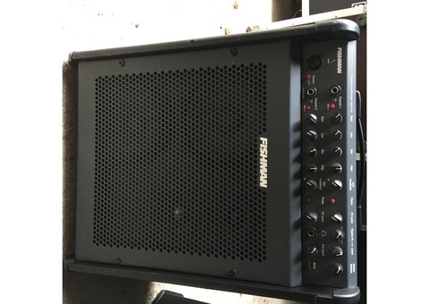 Vend ampli Guitare Louxbox 300 Fishman