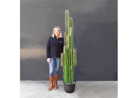 cactus artificiels