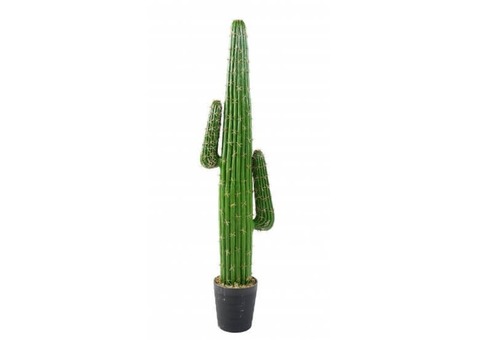 cactus artificiels