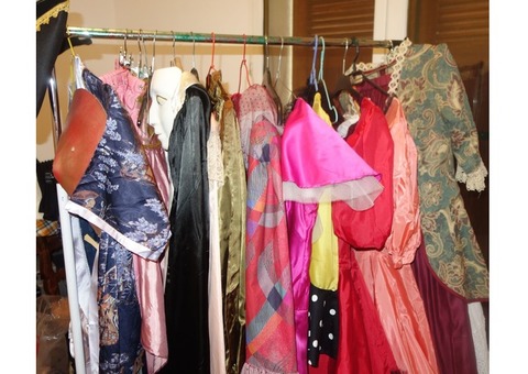 Vends lot de costumes spectacle carnaval
