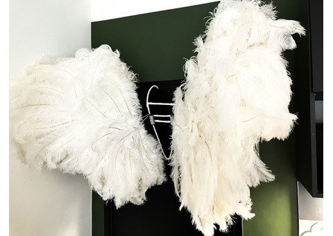 COL EN PLUMES AILES STYLE ANGE