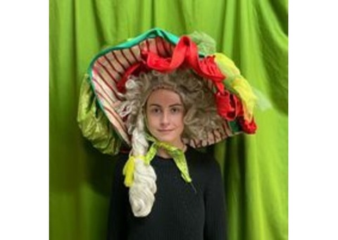 Chapeaux de spectacles