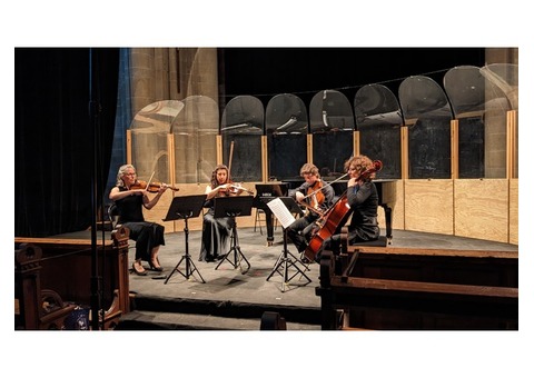 Conques Acoustiques Joël Laplane