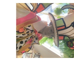Carnaval de Rio