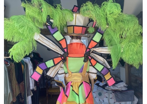 Carnaval de Rio