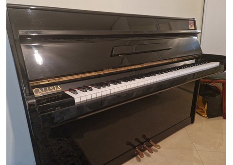 Piano Droit Noir Calisia