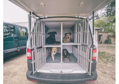 Lot de 4 cages Braveur pour animaux arrière Transporter