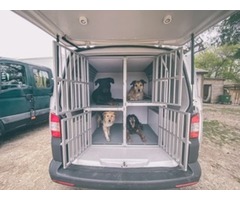 Lot de 4 cages Braveur pour animaux arrière Transporter