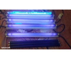 LOT tubes Lumière Noire
