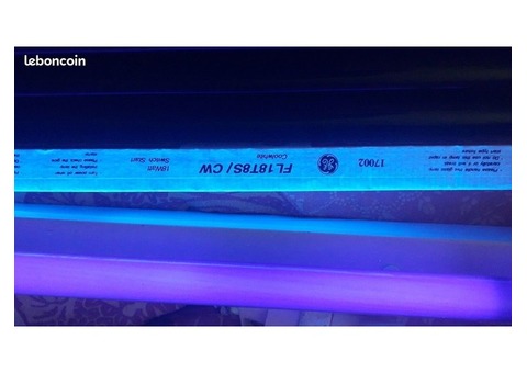 LOT tubes Lumière Noire