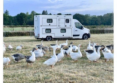 Camion de transport danimaux surmesure