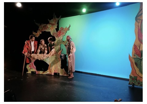 Toile retro gris clair 5m3m