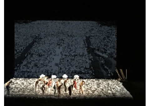 ECRAN DE PROJECTION VIDEO NOIR SHOWTEX