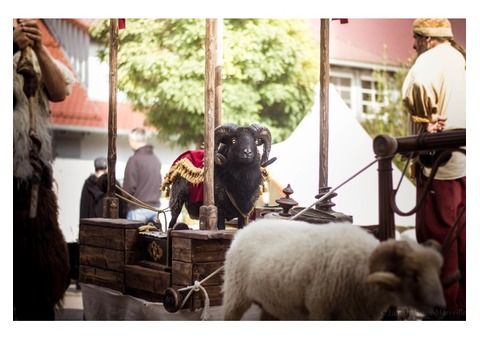 Charrette scénique médiévale fantastique déambulation à rafraîchir