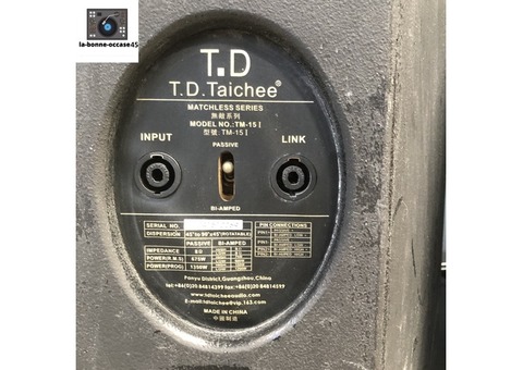 Vend enceinte TM 15 TD Taichee