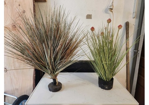 Végétation décor