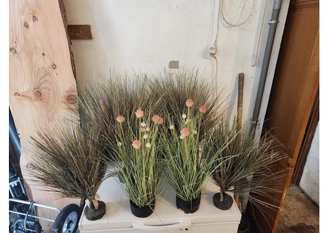 Végétation décor