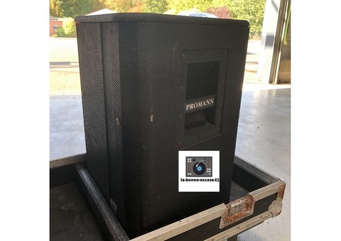 Vend enceinte PC 312 Promann Hortus