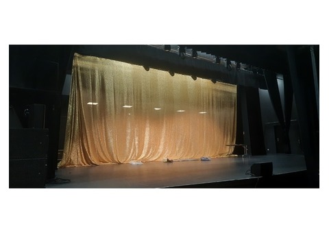 Rideau Frizzle Glitter Doré 16x8m